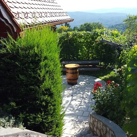 Vineyard Berus * Novo Mesto