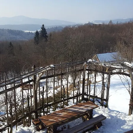 Vineyard Berus * Novo Mesto