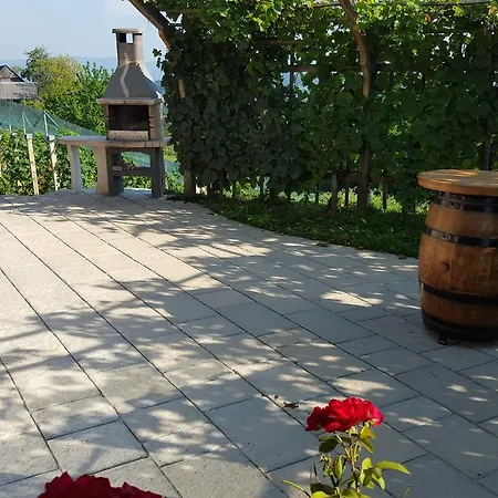 Vineyard Berus Novo Mesto