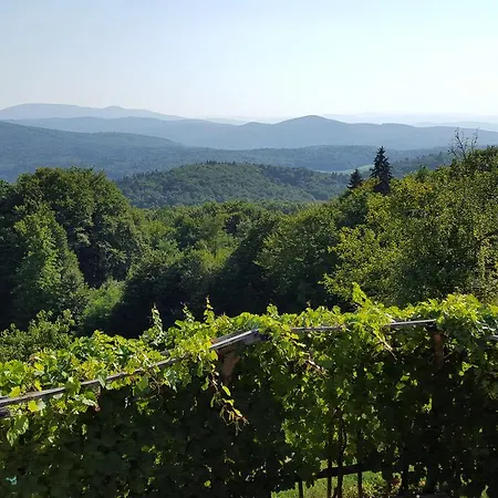 Prázdninový dům Vineyard Berus Novo Mesto