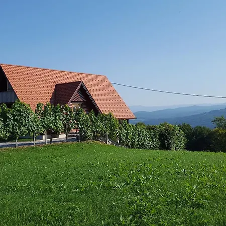 Vineyard Berus Novo Mesto