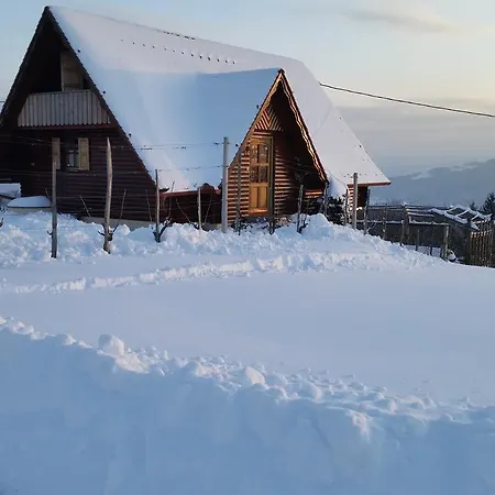 Vineyard Berus Novo Mesto