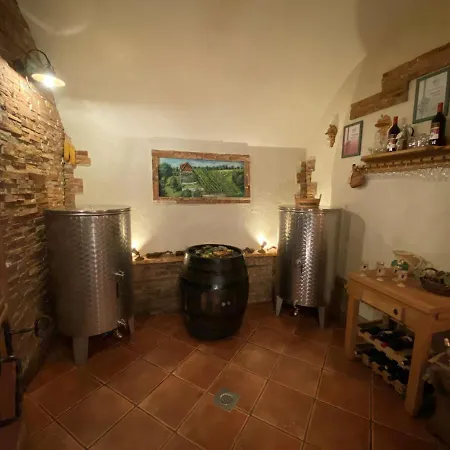 Prázdninový dům Vineyard Berus Novo Mesto